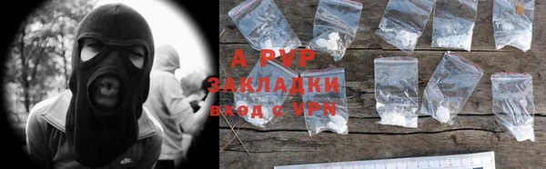 прущие крисы Алзамай