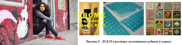 хмурый Алексеевка
