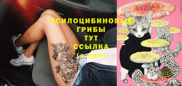 хмурый Алексеевка