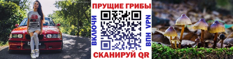 Псилоцибиновые грибы Magic Shrooms  Новоуральск 
