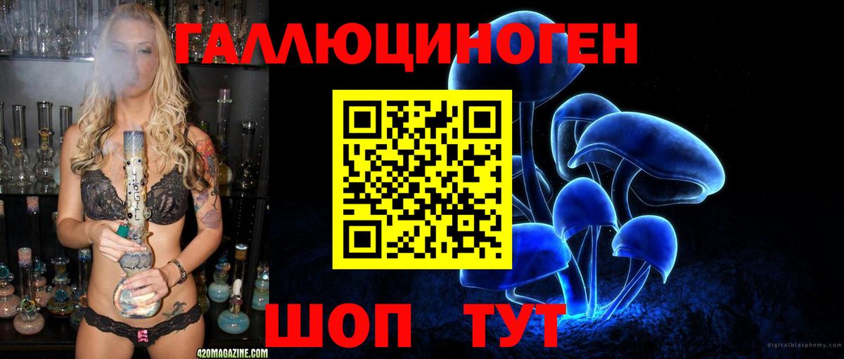 Галлюциногенные грибы GOLDEN TEACHER  наркошоп  Новоуральск  Вход с VPN 